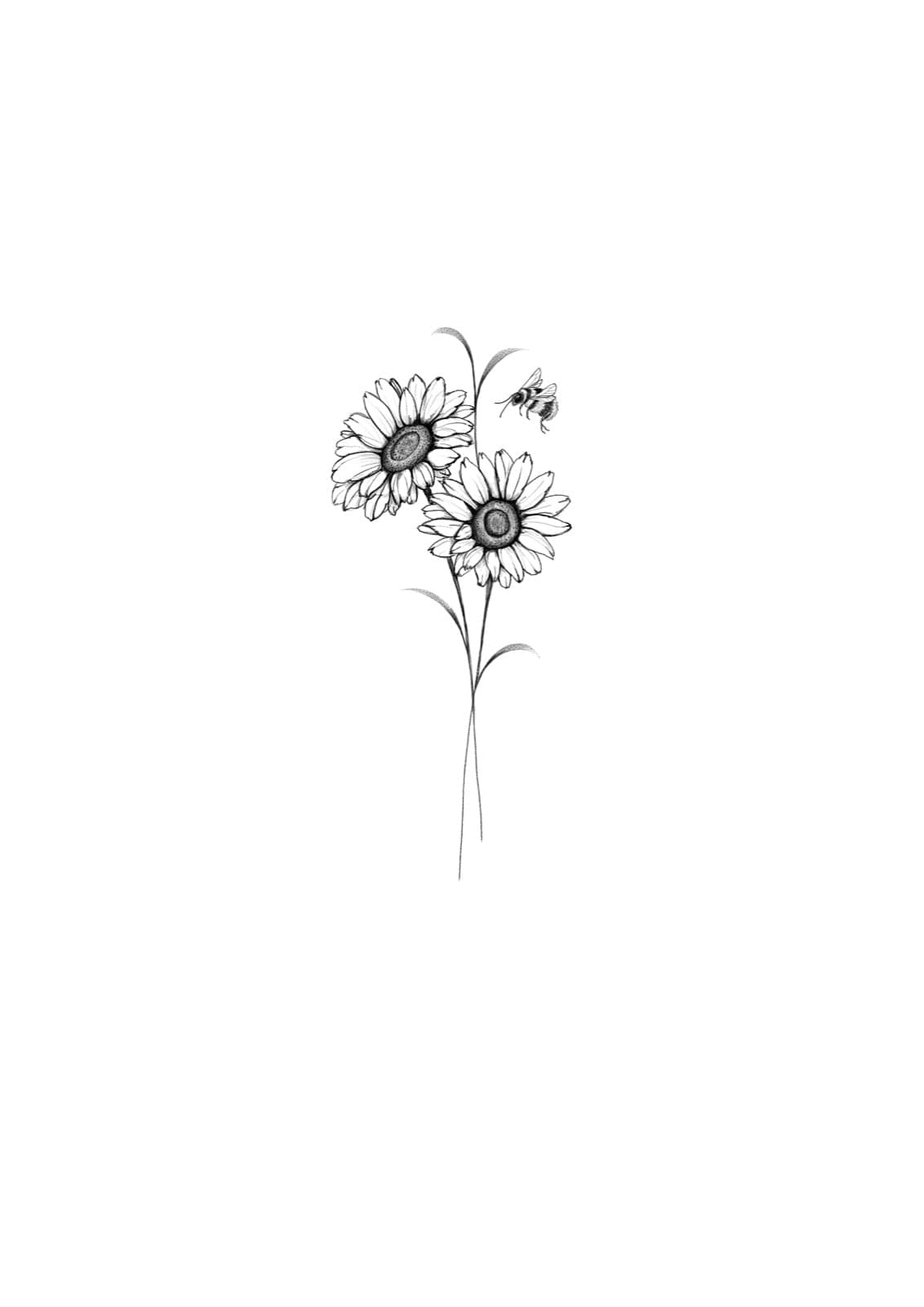 Girasoles y abeja 2