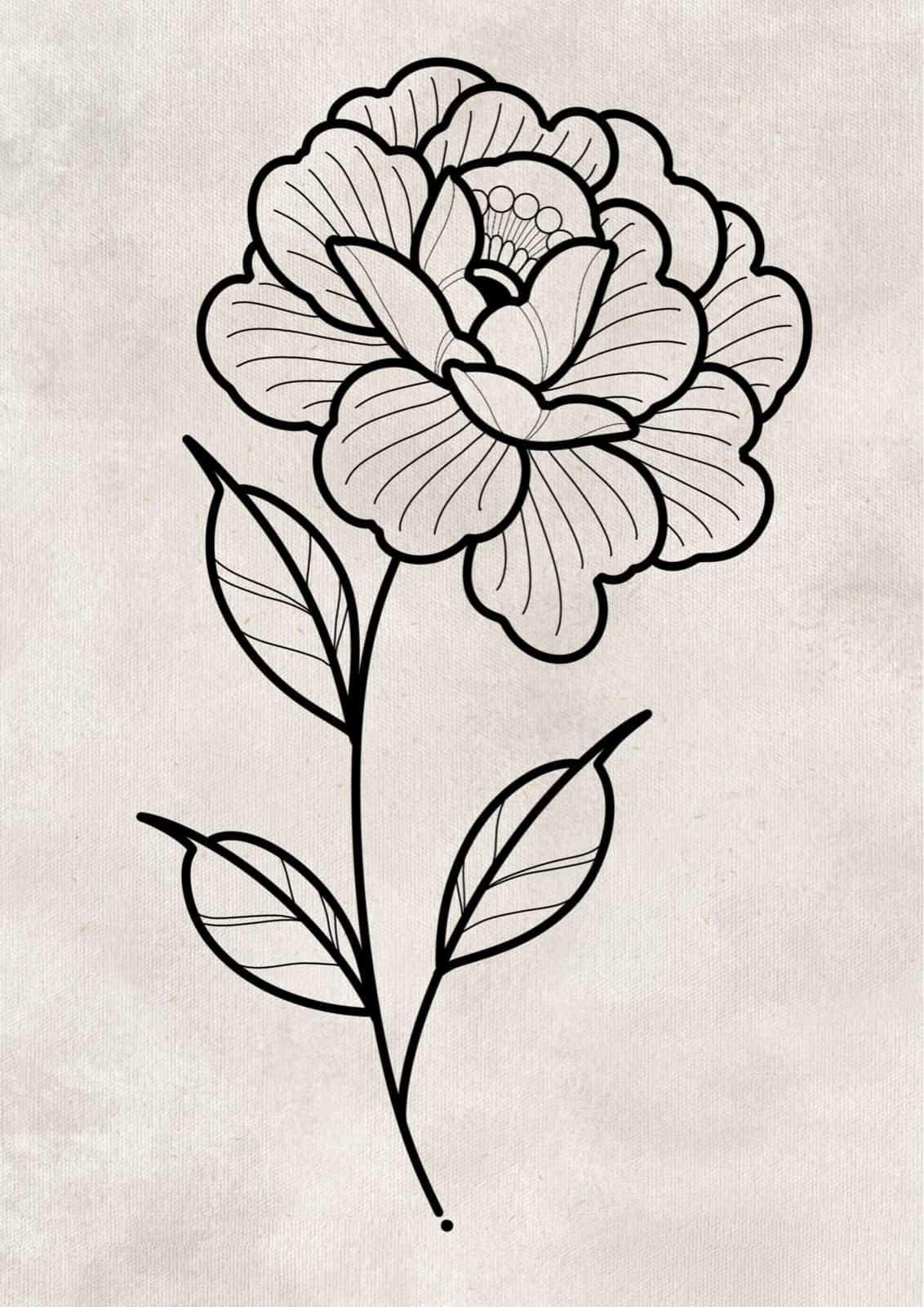 Flash pivoine