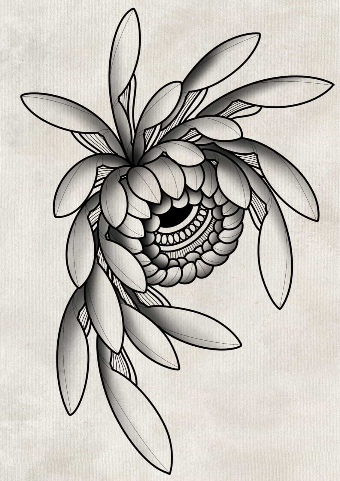 Flash chrysanthèmes