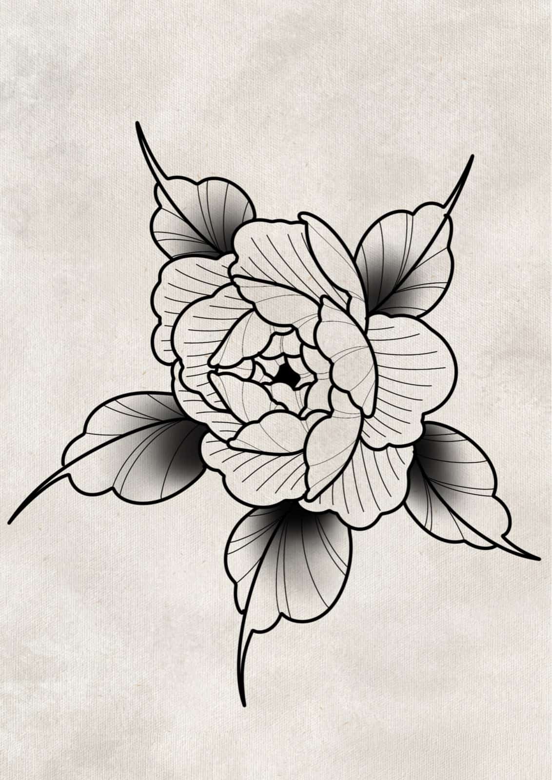 Flash pivoine